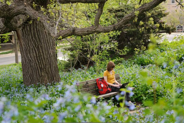 Aerial shot of a student sitting on the grass, working on his laptop